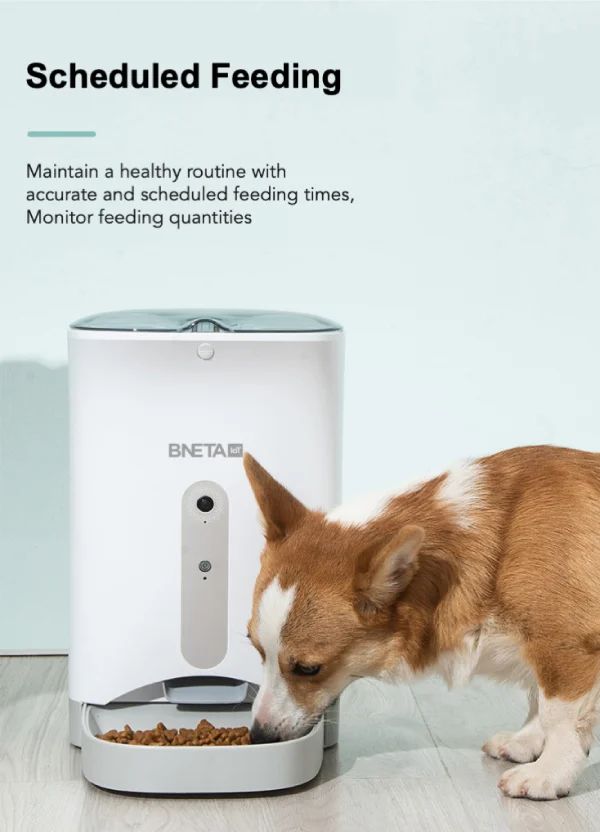 Iot store dog feeder