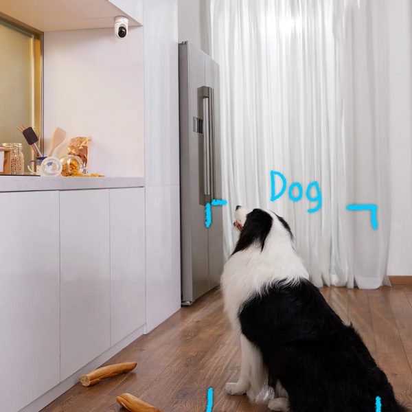 Eufy E220 Indoor Pan & Tilt Security Camera detecting a dog